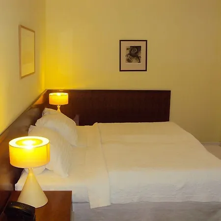 팔라틴 카를로비바리